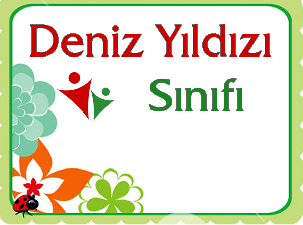 Deniz Yıldızı