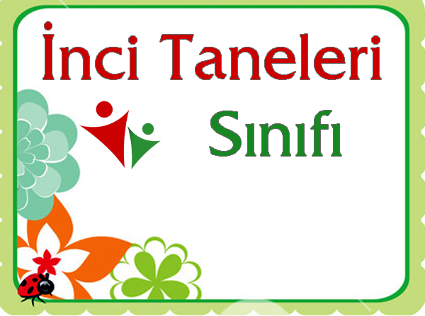 İnci Taneleri